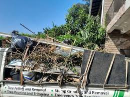 Best Moving and Downsizing Cleanouts  in Bort, GA